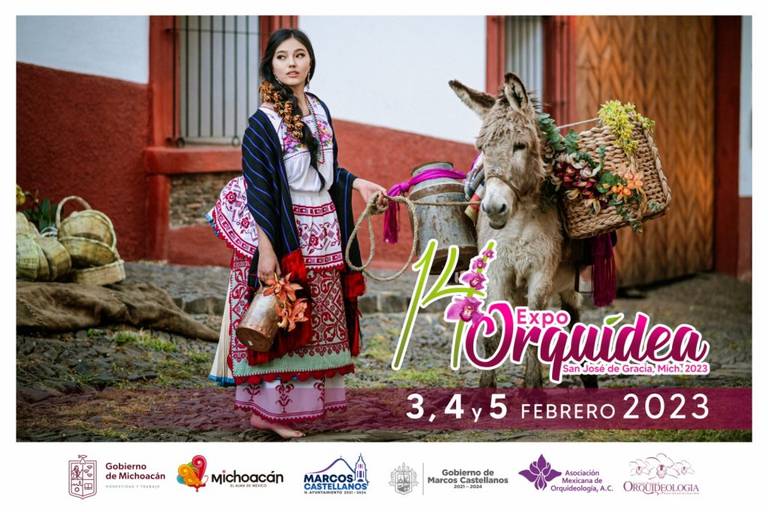 Próxima semana se realizará Expo Orquídea en San José de Gracia - El Sol de  Morelia | Noticias Locales, Policiacas, sobre México, Michoacán y el Mundo