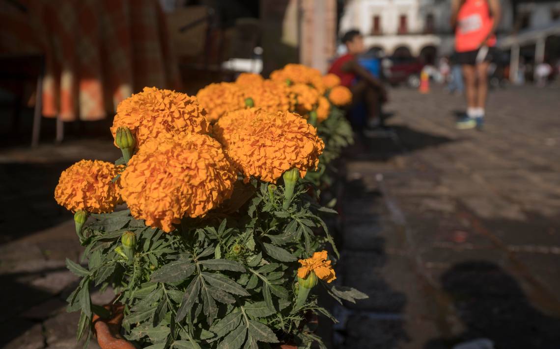 Este año hacer tu altar de muerto tendrá un costo de por lo menos 500 pesos  - El Sol de Morelia | Noticias Locales, Policiacas, sobre México, Michoacán  y el Mundo
