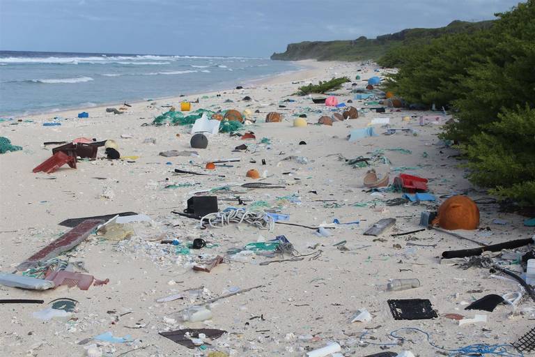 La contaminación de playas, ¿un mal sin remedio? - El Sol de Morelia |  Noticias Locales, Policiacas, sobre México, Michoacán y el Mundo